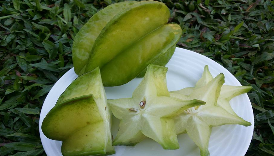 Health benefits of star fruit